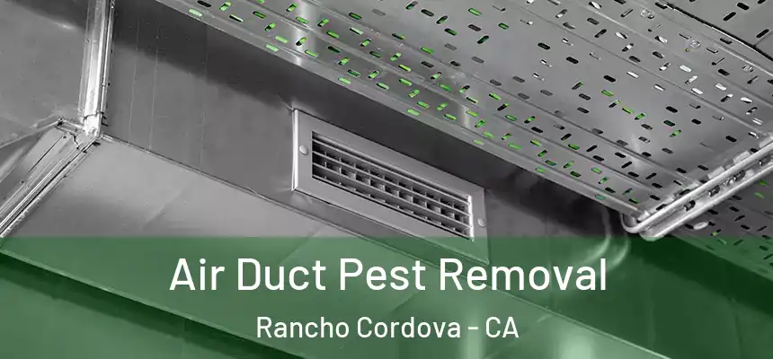 Air Duct Pest Removal Rancho Cordova - CA