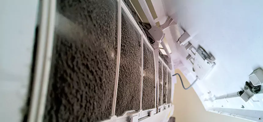 Preventive Air Duct Bacteria Removal in Rancho Cordova