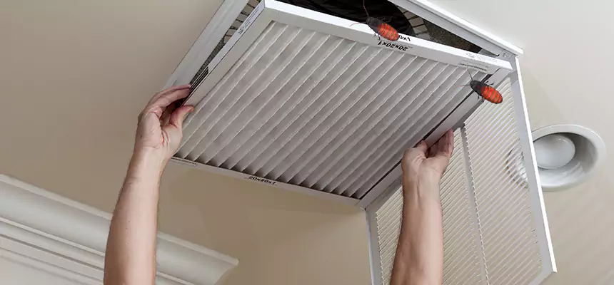 Preventive Cockroach-Proofing for Ducts in Rancho Cordova