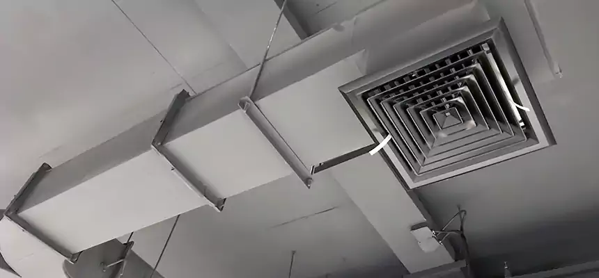 Restorative Allergy Relief Vent Cleaning – Coil, Blower & Housing Detail in Rancho Cordova