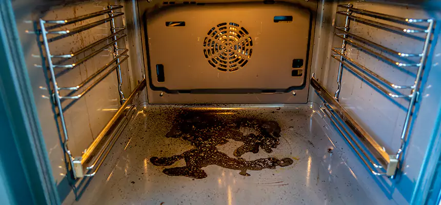 Our Dryer Vent Mold Cleaning Services in Rancho Cordova, CA