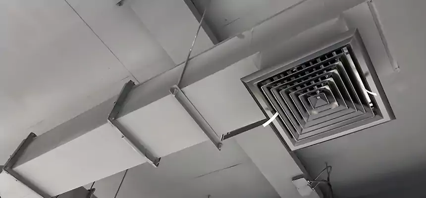 Our Rodent Droppings In Vents Services in Rancho Cordova, CA