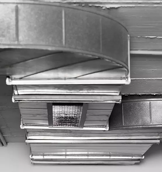 Professional Air Duct Pet Hair Removal in Rancho Cordova, CA