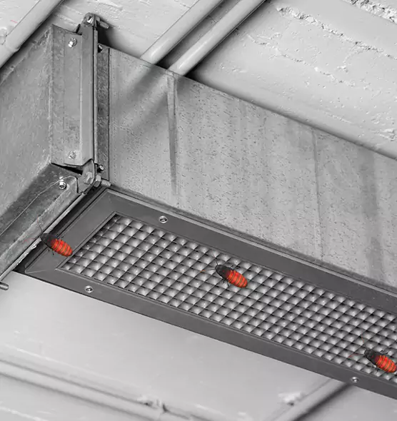 Affordable Insect Removal from Air Ducts in Rancho Cordova, CA