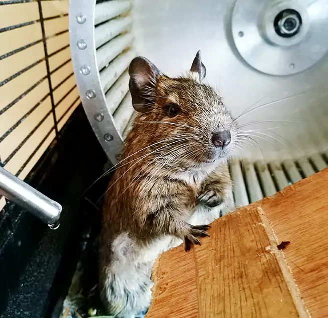 Why Homeowners & Businesses Trust Us Rancho Cordova, CA?