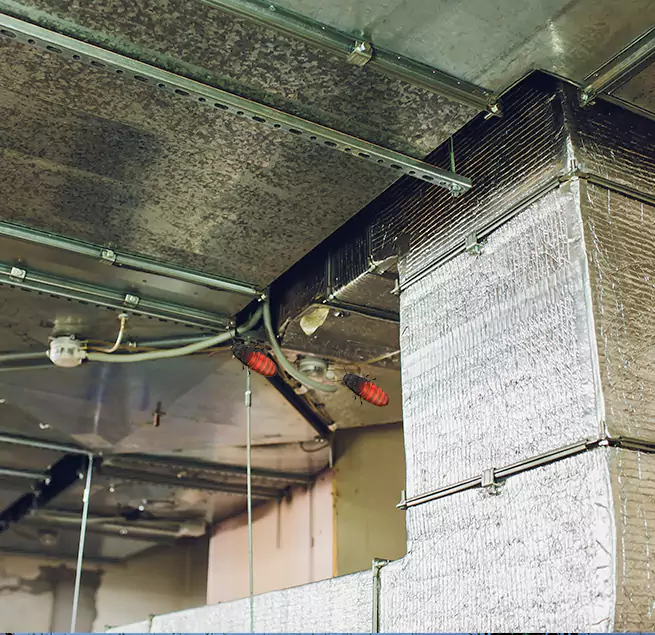 Why Homeowners & Businesses Trust Us Rancho Cordova, CA?