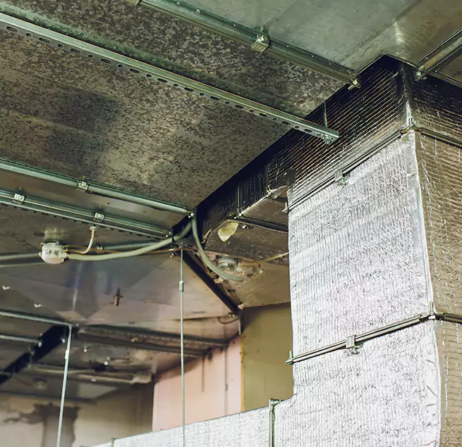 Why Homeowners & Businesses Trust Us in Rancho Cordova, CA?